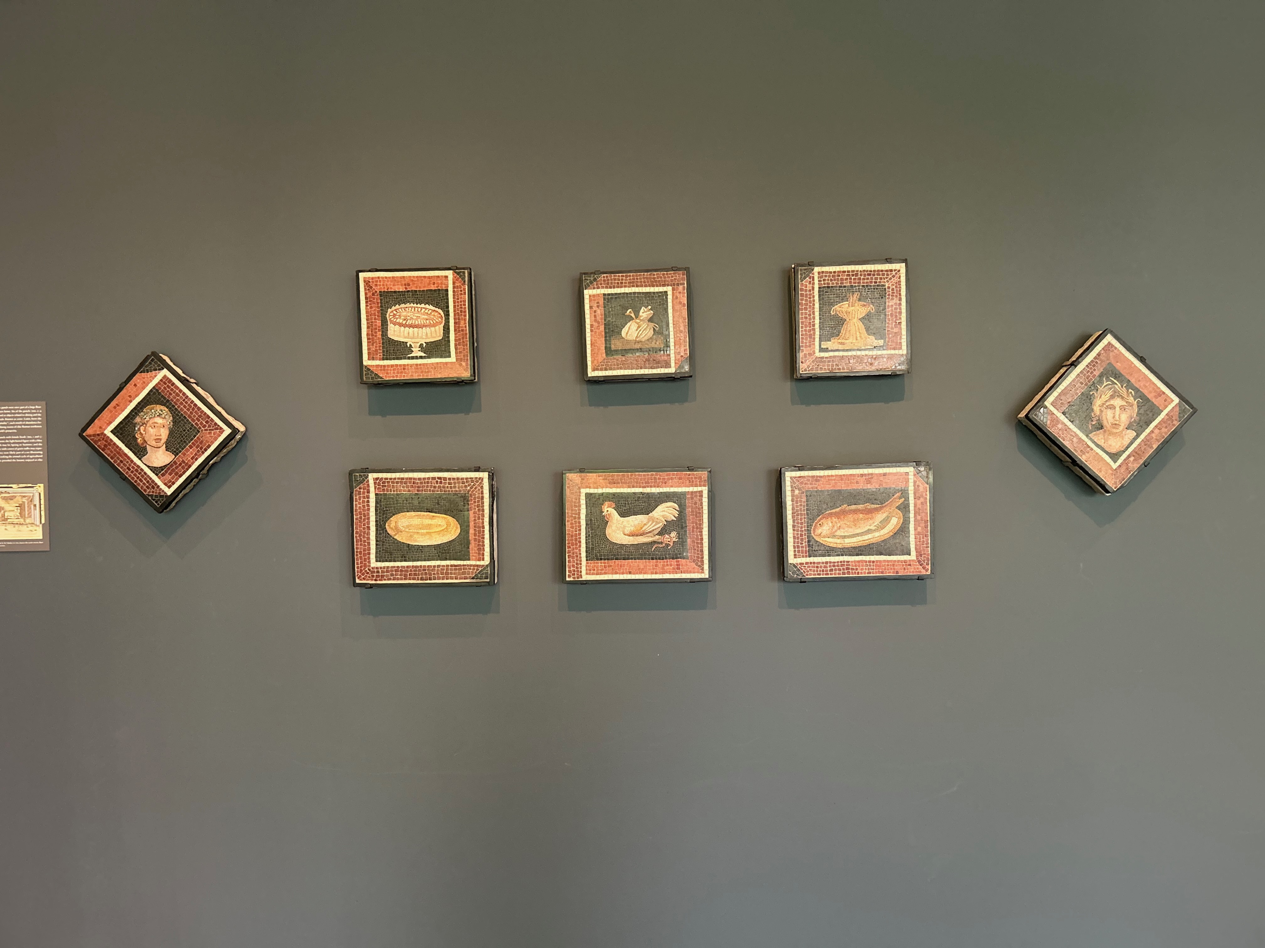 Assorted Roman Mosaics from a wealthy home